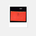 Amnesiac - Radiohead Polaroid