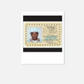 Call Me If You Get Lost - Tyler, the Creator Polaroid