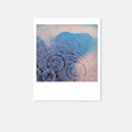 Meddle - Pink Floyd Polaroid