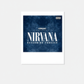 Nevermind - Nirvana Polaroid