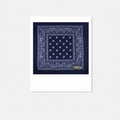 The Blueprint 3 - Jay-Z Polaroid